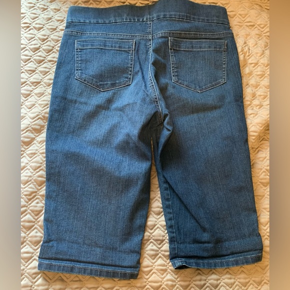 Gloria Vanderbilt All Around Slimming Effect Shorts Size 12p - Picture 3 of 4